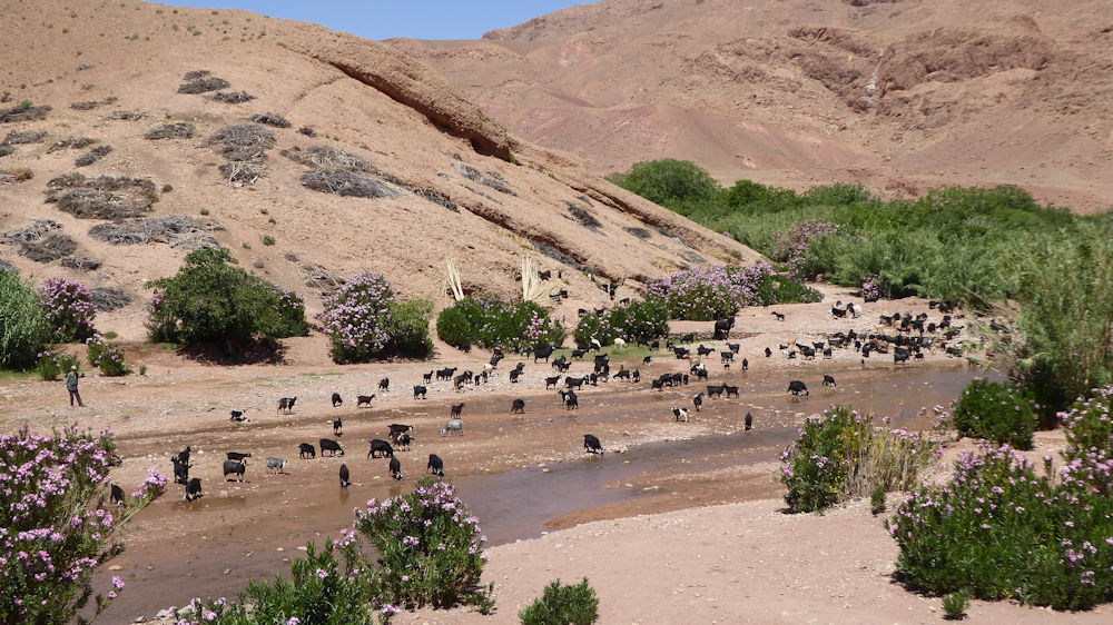 Valley opens up to farming